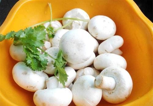 想肌肤年轻,适合多吃的食物,预防衰老,活血益气,吃了不后悔