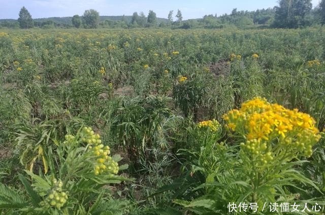 走进|走进中国最北择站二十六站!