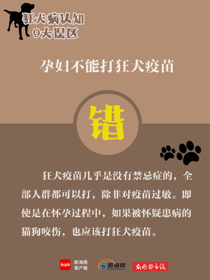 误区|世界狂犬病日，带你了解狂犬病9大认知误区