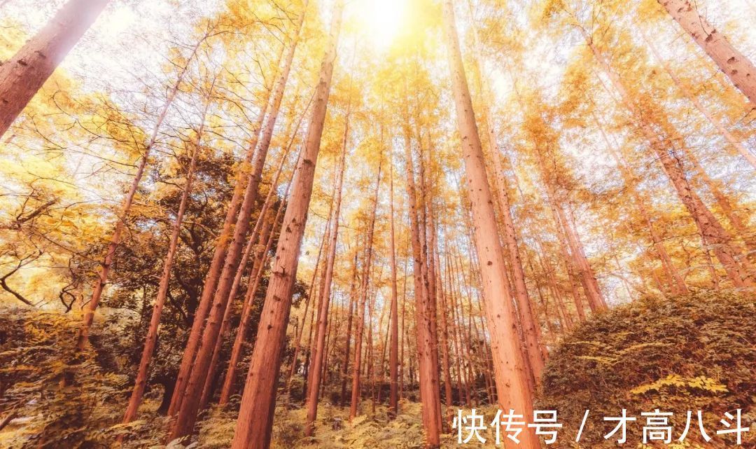 卜算子|长河流岁千秋过,笑问世间谁常客?