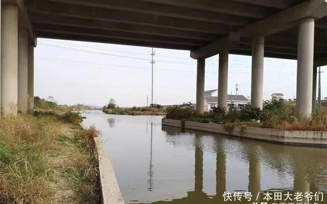 惊蛰到清明，这几种天气鲫鱼最好钓，随便钓，大鲫鱼也能连竿上