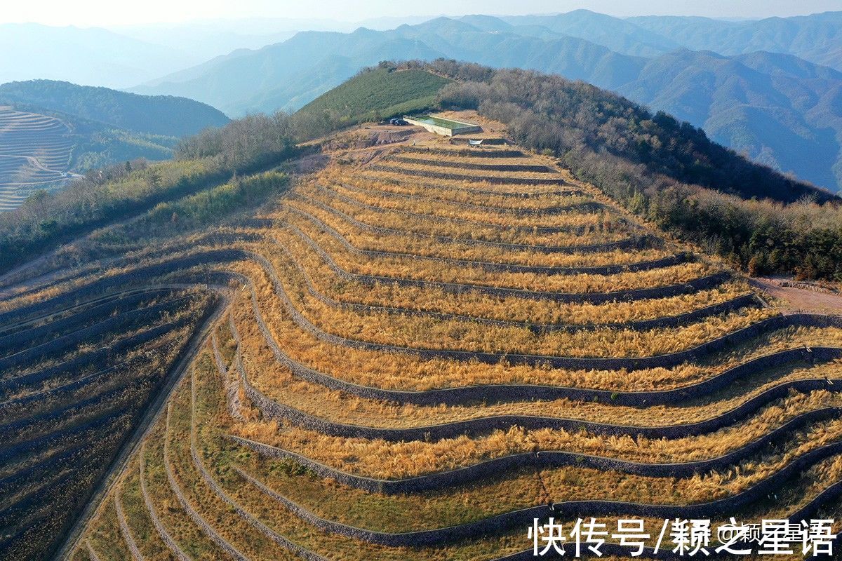 荒草$规模庞大的梯田，荒草绵延，种花草不火才怪