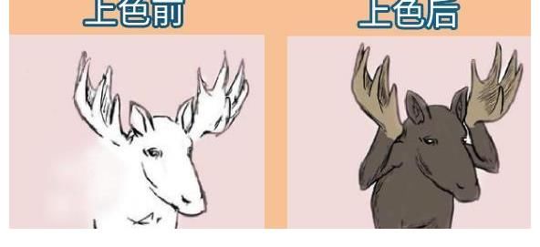 marmot$有一位画手每次画到一半就放弃，当作品被上色之后，瞬间有了灵魂