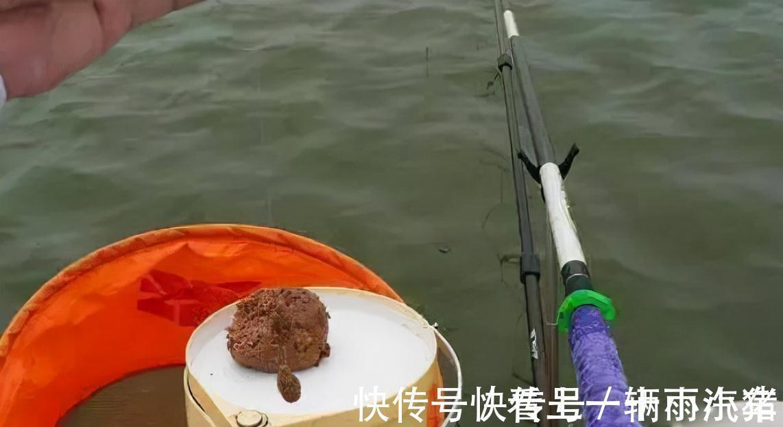 钓友|越冷越好钓鲫鱼?几点注意事项,助你满载鱼归