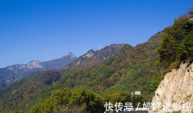 茱萸|寻访秦岭苦竹沟，灌满浆汁的烂红野果和山货挂满枝头，都无人采摘