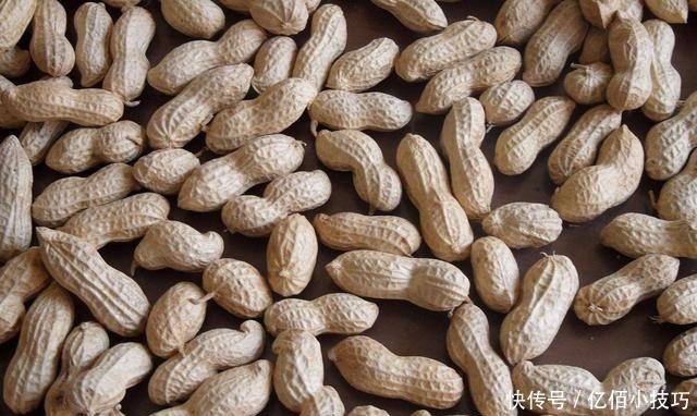 煮花生时,直接加水煮就错了,加点“它”,花生更香更入味