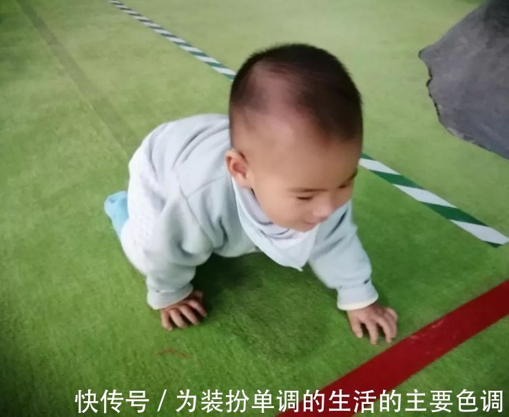 训练|多多练习“宝宝趴”,将来才能“宝宝爬”,这才是进阶训练