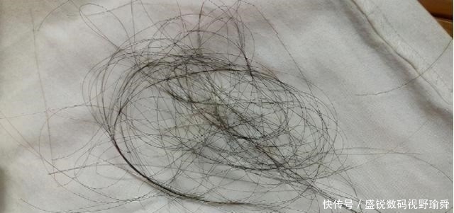 几天不打扫,密闭屋子就会出现很多“毛毛”,这到底是怎么回事?