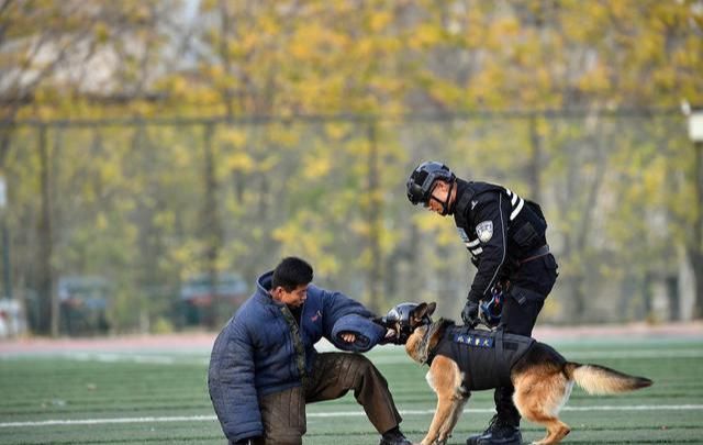 江苏警官学院2020年入警率很高，值得高考生关注