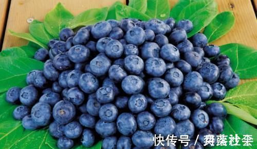长寿|想要健康长寿很简单，3种食物，“长寿草”，养肝护肝，补肝益气