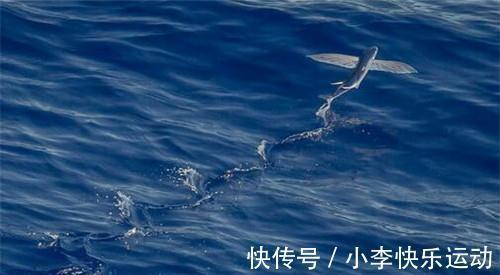 北山经@《山海经》记载内容,是异世界的秘密?专家称:极有可能真的存在