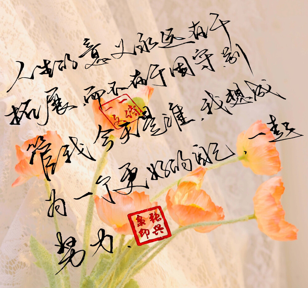 糖果罐@这场相遇真是一个奇迹,就像撒哈拉长满玫瑰,我恰好遇到你