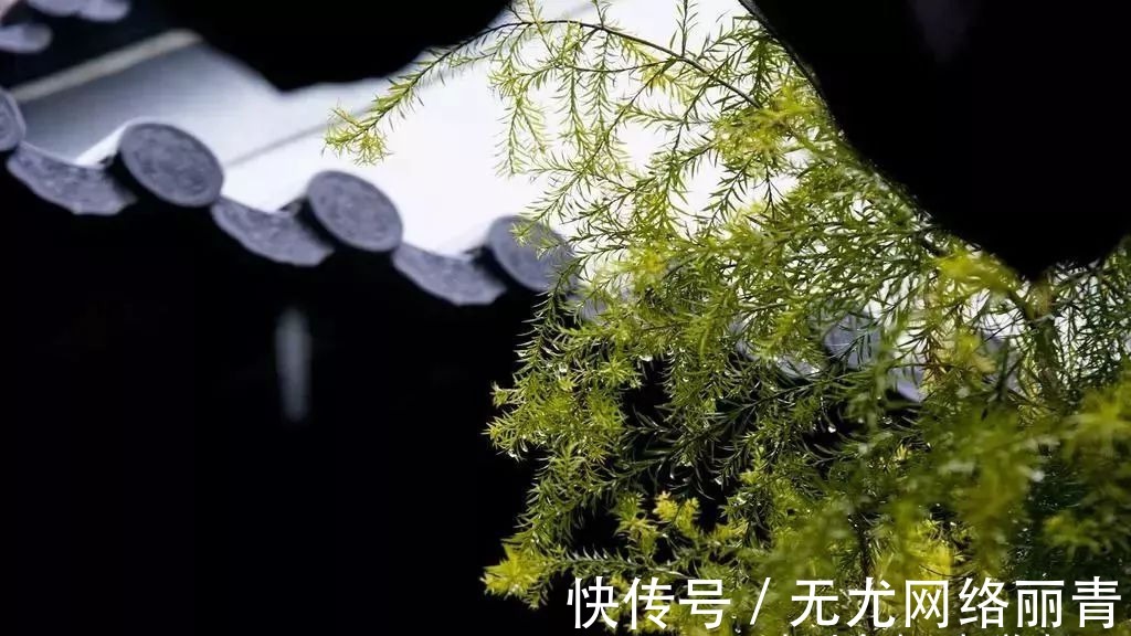 套数|张养浩 一枝花咏喜雨（套数）