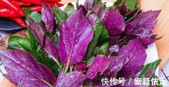 红凤菜|农村一种野菜，人称“红凤菜”，以前常吃，却不知是有毒的