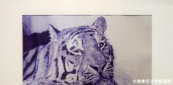 喊话|18岁男孩用圆珠笔画画走红网络,被央美拒绝,网友喊话冷军收徒弟