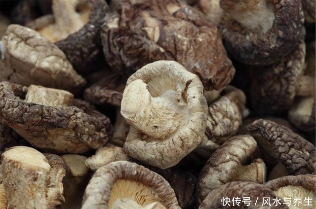 买香菇,挑大的还是小的牢记“3买3不买”,谁也不敢忽悠你!