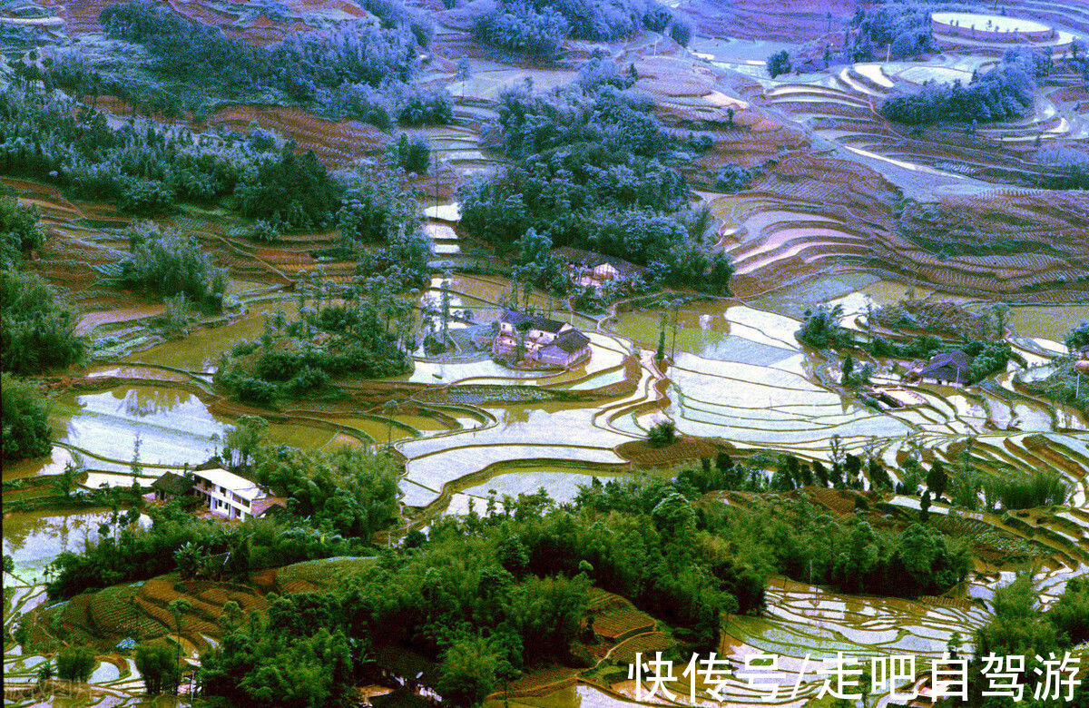 红松|《国家地理》评选的最美森林，去过一半此生无憾，你去过几个？