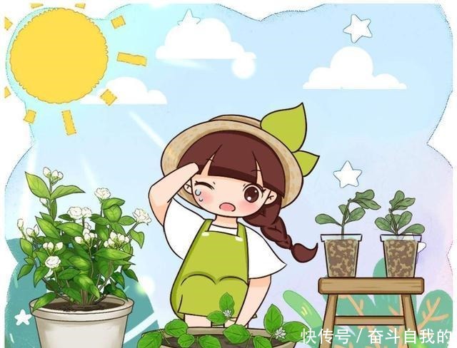 别再稀里糊涂养花了，这些基础常识，很重要！