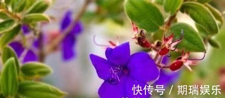 前任|1周后，桃花重现，前任回归，携手旧爱，真心相随，收获命中姻缘