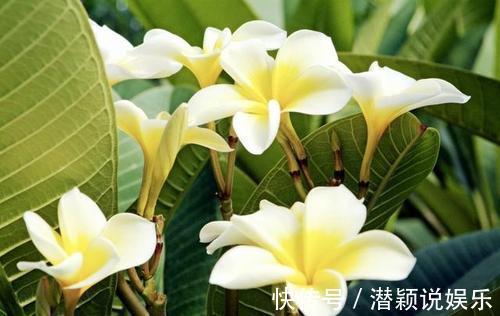 富贵|孩子生于这六天,一辈子不缺钱,享受富贵终生,人生更是顺风顺水