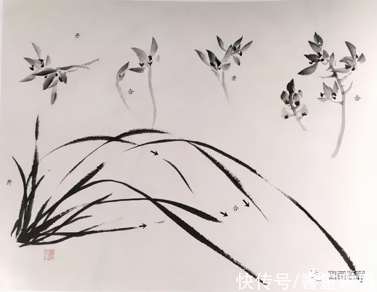 兰叶@国画兰花绘画技法，怎样画兰，兰与竹的组合画法教程