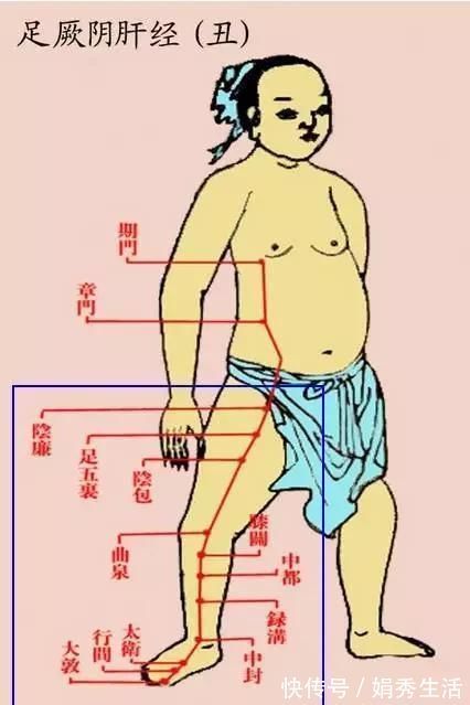 人体|腿是寒气的大本营？如何驱寒？一步到位