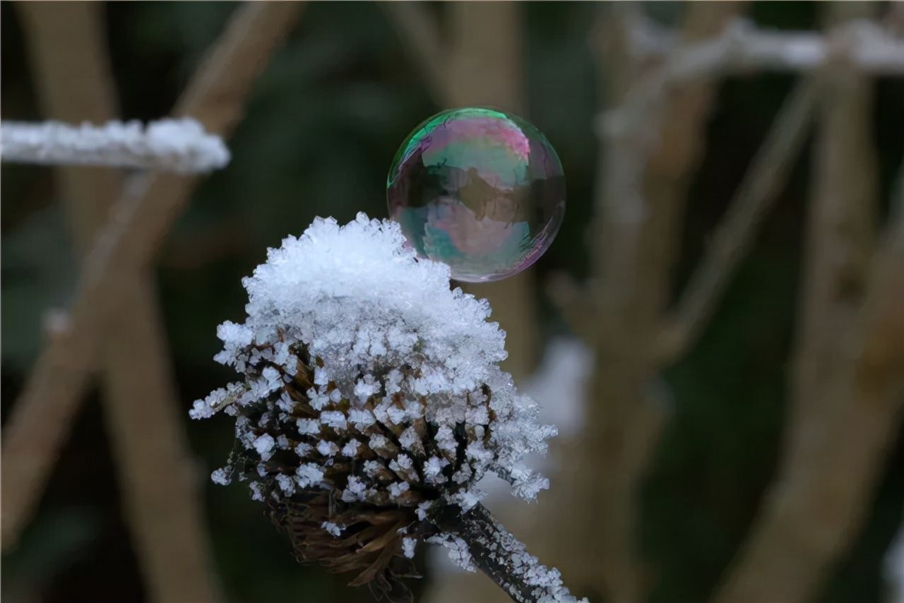 雪人#雪地上的诗：两个雪人拥抱着 但他们的身体 仍然很冷