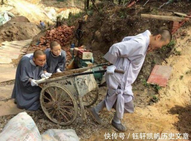 放弃|30个研究生放弃高薪职位,剃度出家,两年后他们怎样了