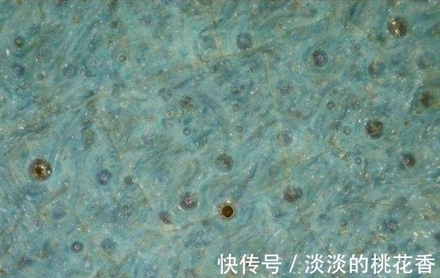 汝窑#“纵有家财万贯,不如汝瓷一片”,汝瓷究竟有何价值?