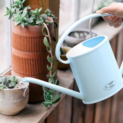 碰到这几种情况，多肉别浇水了！多浇一点就死翘翘