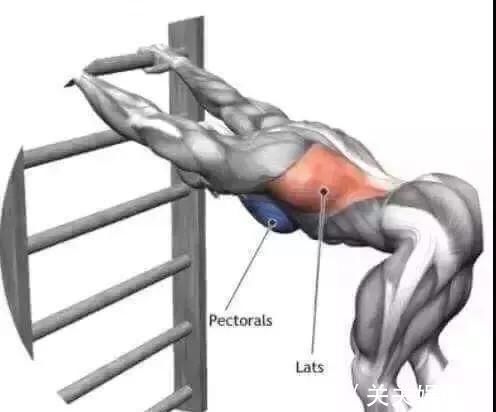 上胸|上胸发力总不好、练不大，原来是因为“它”，我们应该如何改善