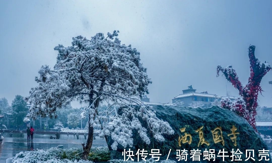 青雾#雪落甘州,诗意雪景美如水墨画!
