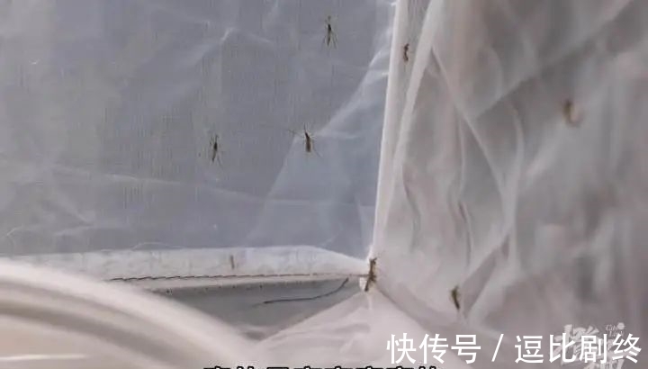 网红防蚊T恤，是智商税吗？