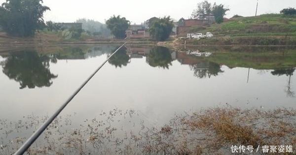 冬季别急着封竿,再冷都可以钓鱼,找准方法,大鲫鱼轻松入鱼护!