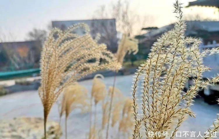 故里|看点丨狄仁杰故里