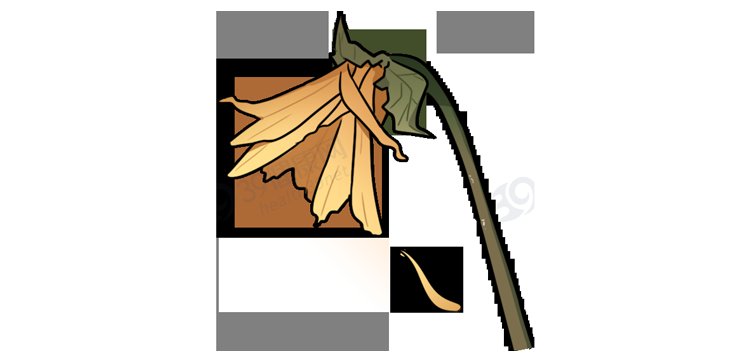 med|保护肛门有多重要？每天清洗肛门可以预防疾病？到底怎么回事？