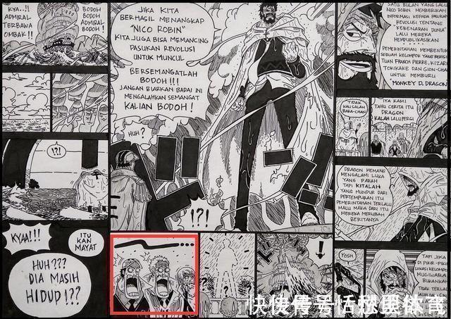 绿牛|海贼王:绿牛露出正脸,左眼有伤疤,右胳膊被索隆砍掉