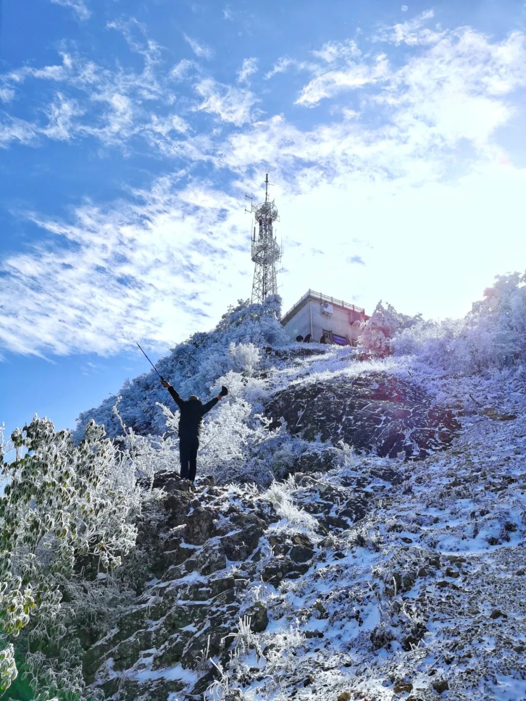 庆元县|不是初雪，胜似初雪，庆元雾凇，宛若仙境！