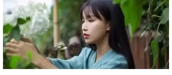微念的格局太小！与其和李子柒两败俱伤，不如一笑泯恩仇