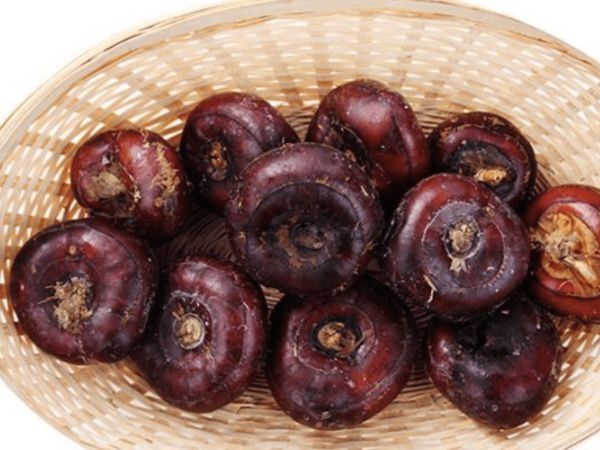 大年初一,不管有钱没钱,摆上4种干果,寓意牛年大吉,好事连连