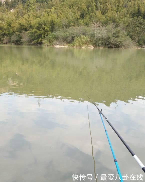 野钓|大量丑怪“小黑鱼”,盘踞山下小河,这鱼一百多一斤