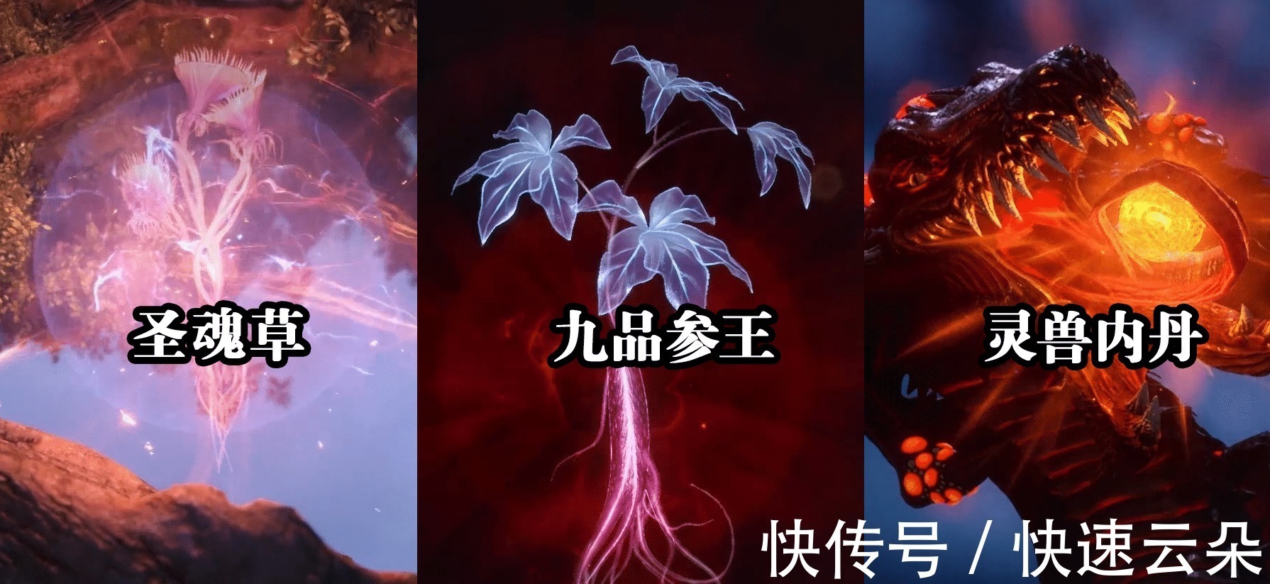 圣魂草|斗罗大陆复活小舞需要三个条件，二明只说了一个，另外两个是什么