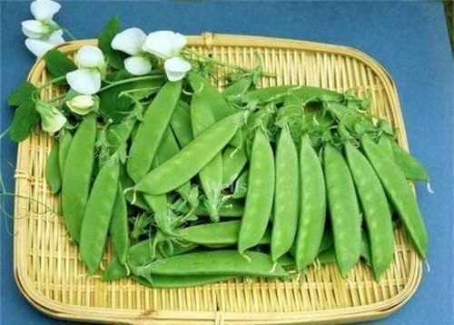 植物蛋白|人到中年,推荐3种食物,营养丰富,疏通血管,谁吃谁受益