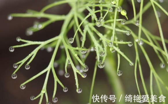 脾虚|脾虚,身体发信号,超过3个莫轻视!健脾,除吃饭7分饱,坚持2事