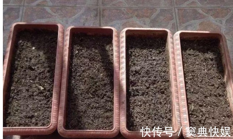 养花就用几种“神器”，花盆不积水，植物涨势好不烂根