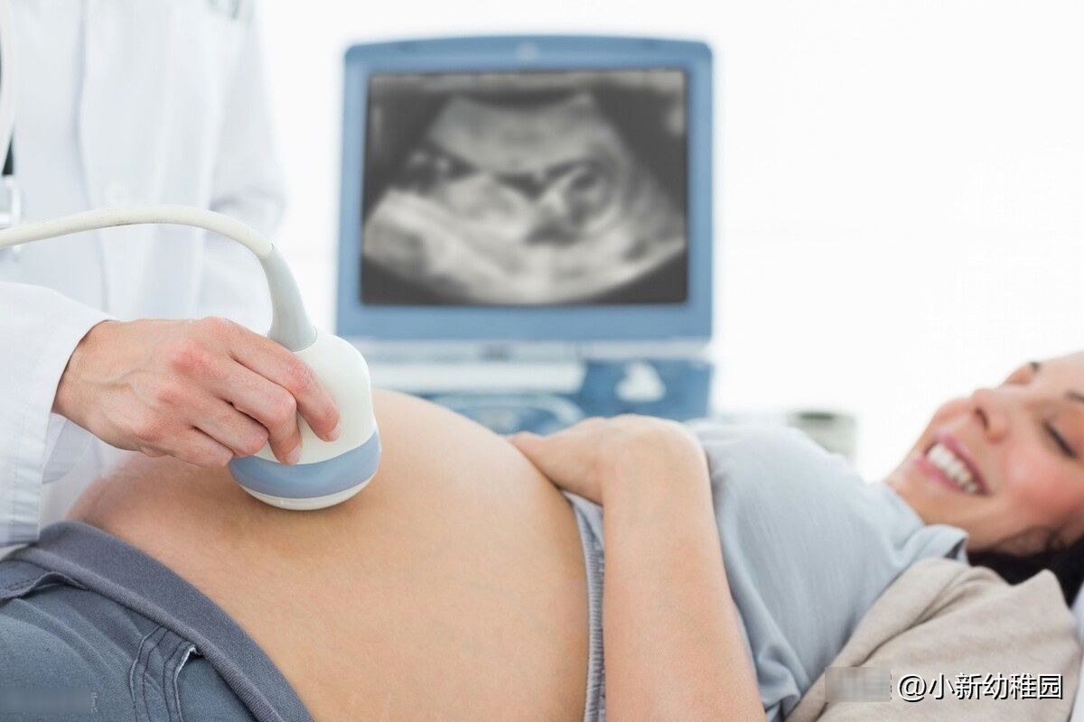 告终|科学家们普遍认可的数字是：大约20%的妊娠都会以流产告终