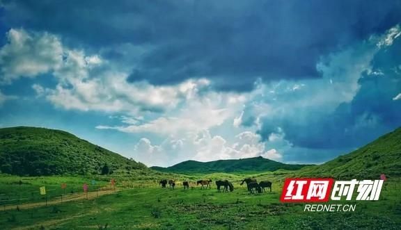 八面山|叶红专：风景正好八面山