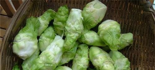 好食物吃出好身体，推荐3种食物，健脾化湿滋补强身，好吃不贵！