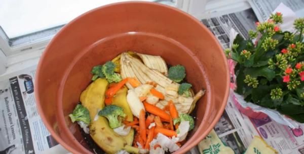 新人养花浇水，没掌握正确方法，别浇这3样“水”