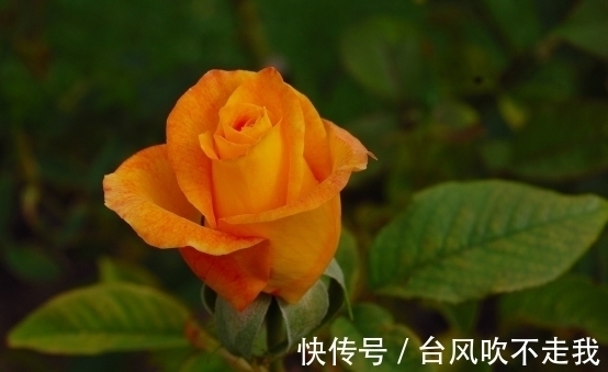 天蝎|7天后,分分合合,不再忍耐,忘记前任,展望未来,迎接崭新人生